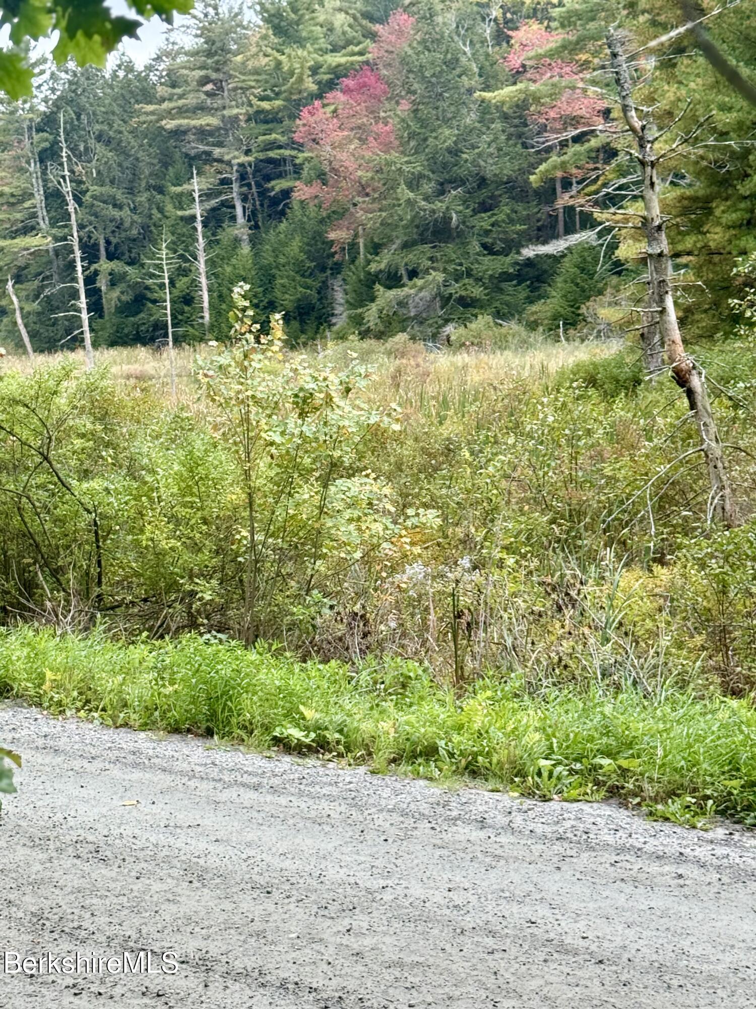 0 North Beech Plain Road Sandisfield, MA 01255 - Photo 12 of 13 IMG_4871