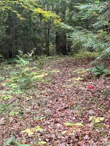 $165,000 | 0 North Beech Plain Road, Sandisfield, MA 01255