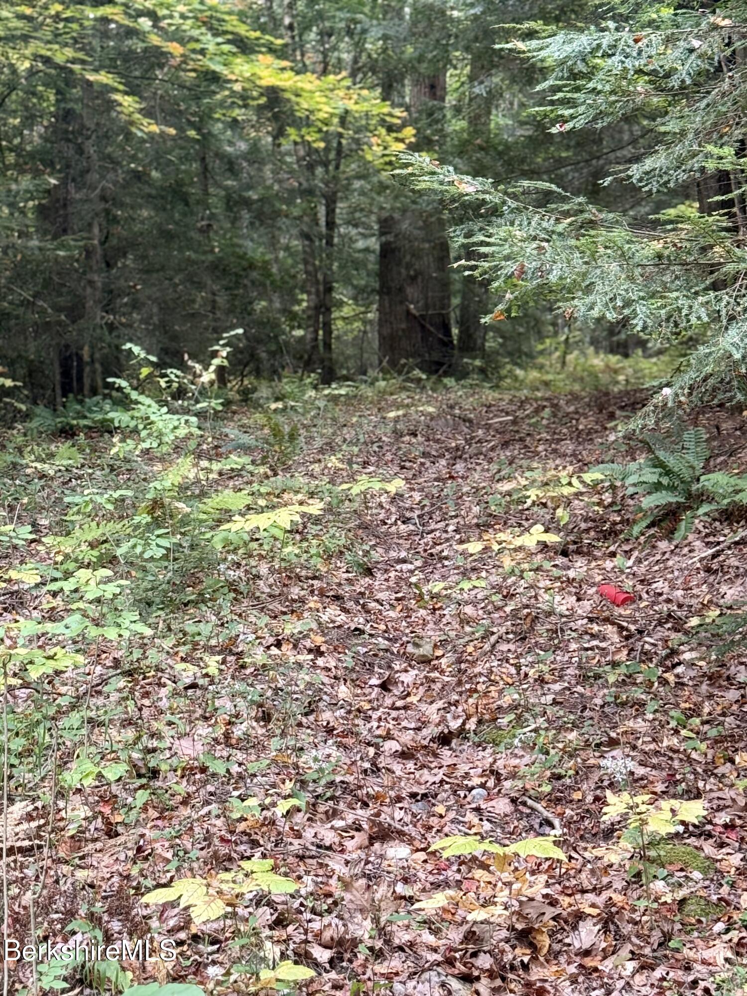 0 North Beech Plain Road Sandisfield, MA 01255 - Photo 5 of 13 IMG_4863