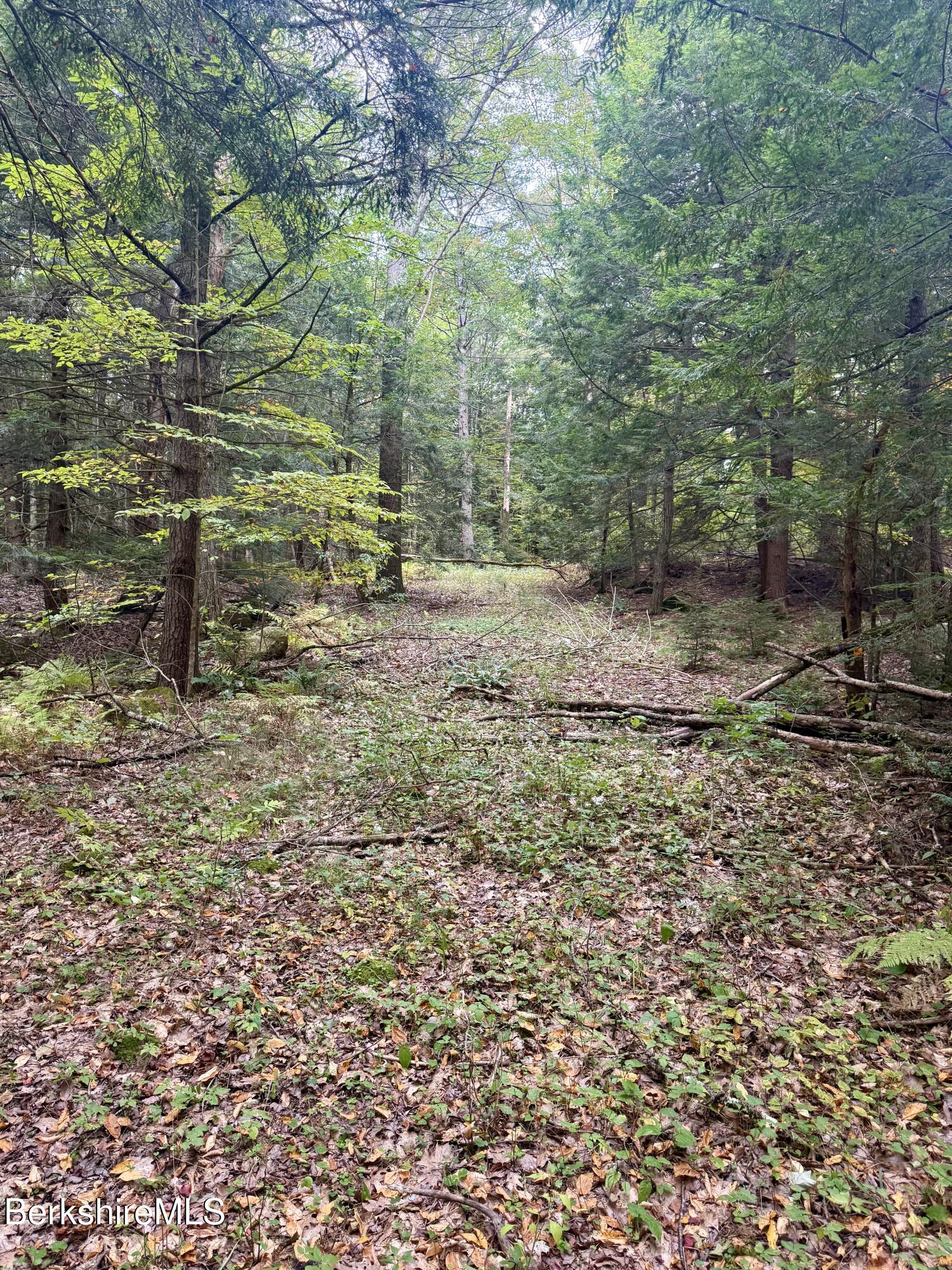 0 North Beech Plain Road Sandisfield, MA 01255 - Photo 6 of 13 IMG_4867