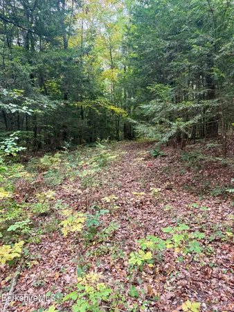 $165,000 | 0 North Beech Plain Road, Sandisfield, MA 01255