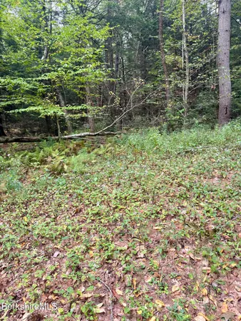 $165,000 | 0 North Beech Plain Road, Sandisfield, MA 01255