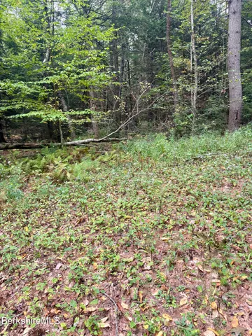 $165,000 | 0 North Beech Plain Road, Sandisfield, MA 01255