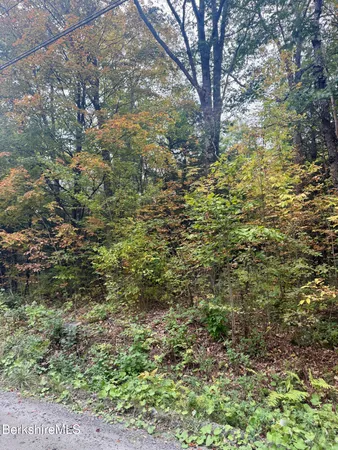 $165,000 | 0 North Beech Plain Road, Sandisfield, MA 01255