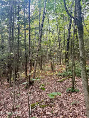 $165,000 | 0 North Beech Plain Road, Sandisfield, MA 01255