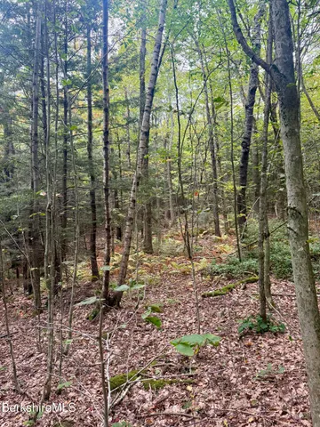 $165,000 | 0 North Beech Plain Road, Sandisfield, MA 01255