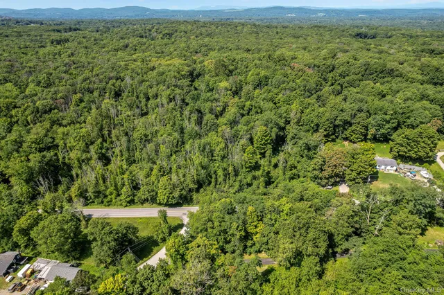 a view of a lush green forest with lots of trees
