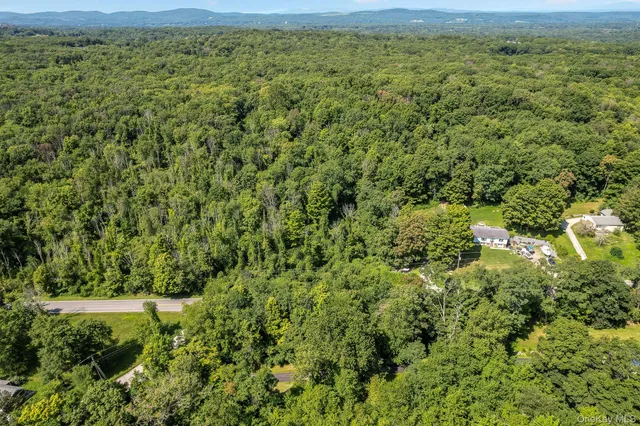a view of a lush green forest with a houses