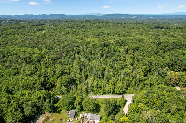 a view of a field with a tree