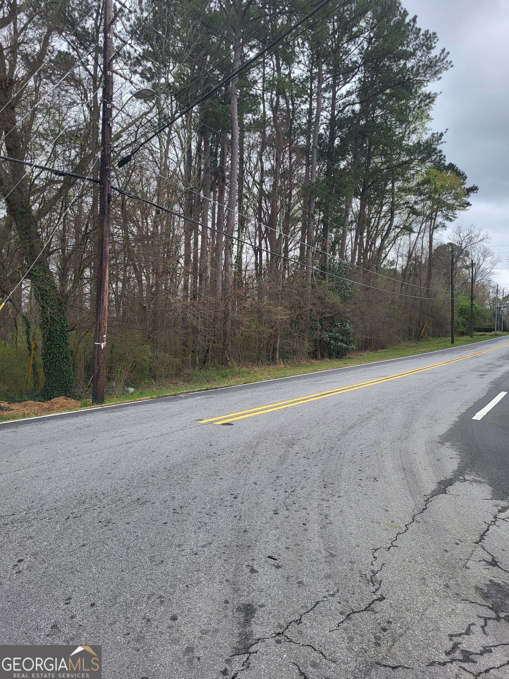 2123 Cedar Grove Road Conley, GA 30288 - Photo 6 of 14 a view of a field with trees in the background