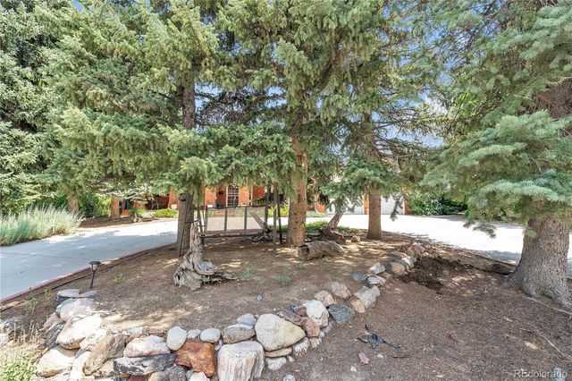 a view of a tree in the middle of a yard