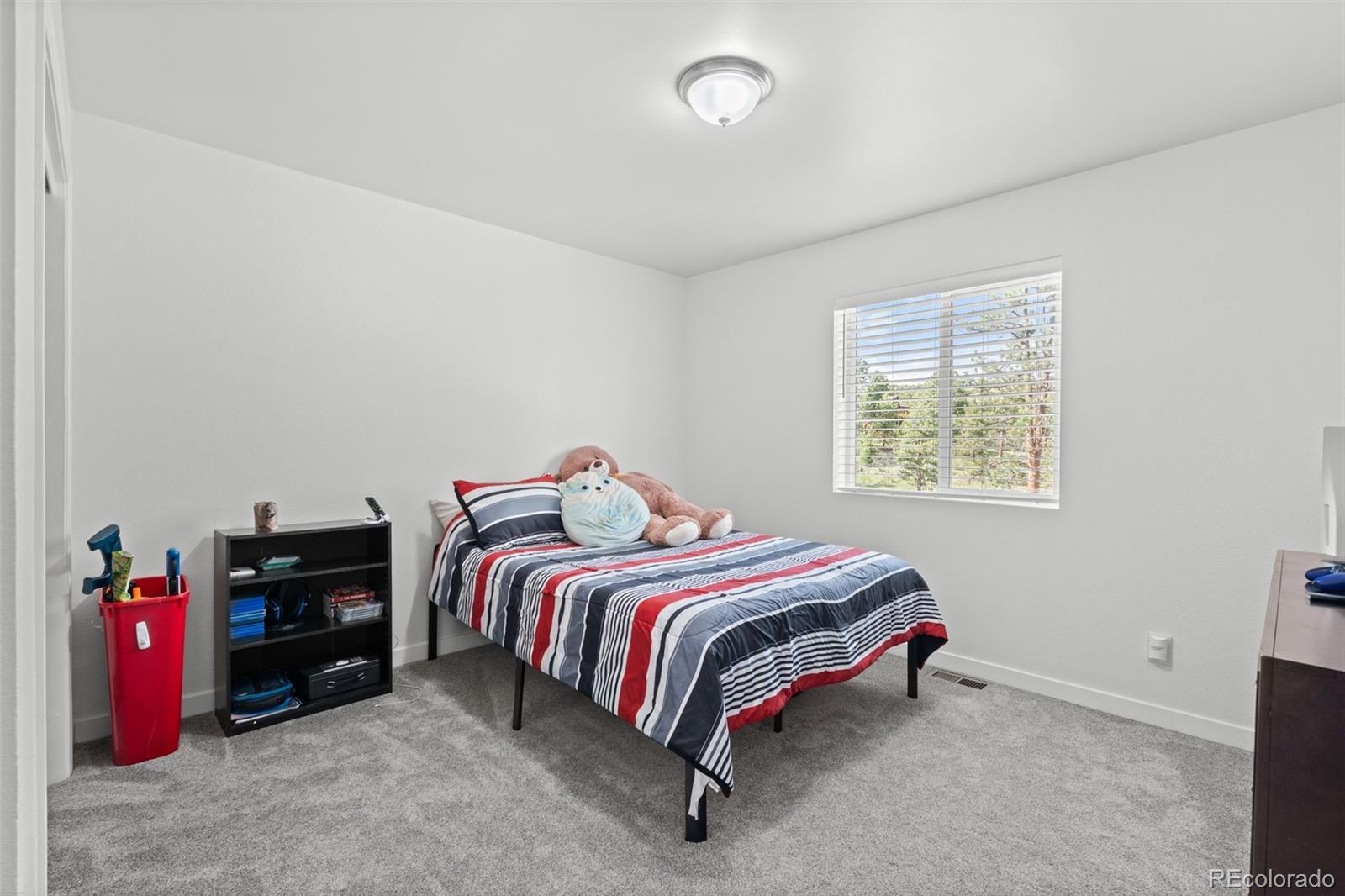125 Sun Way Bailey, CO 80421 - Photo 27 of 43