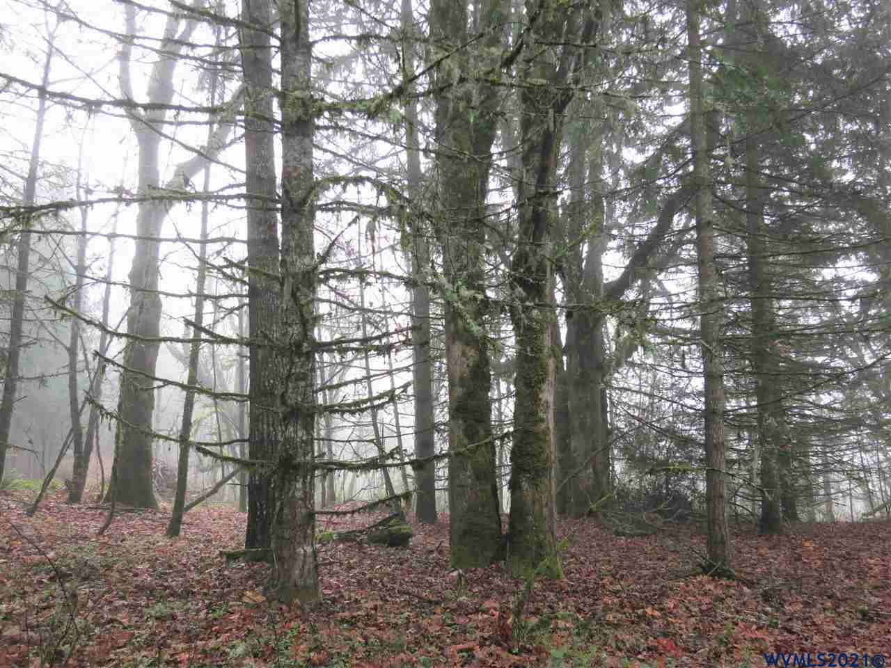 5 Acres Road Dallas, OR 97338 - Photo 6 of 9 a view of forest