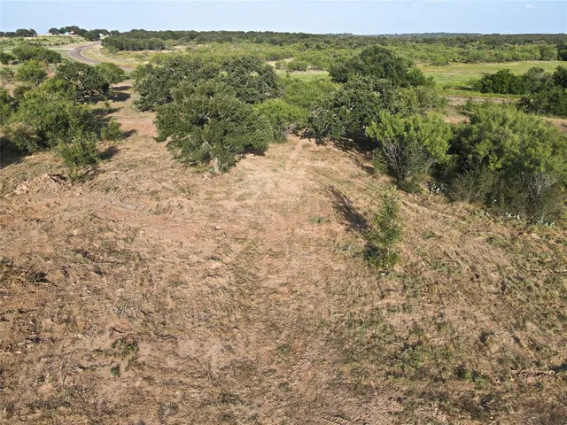 a view of a forest with trees in the background