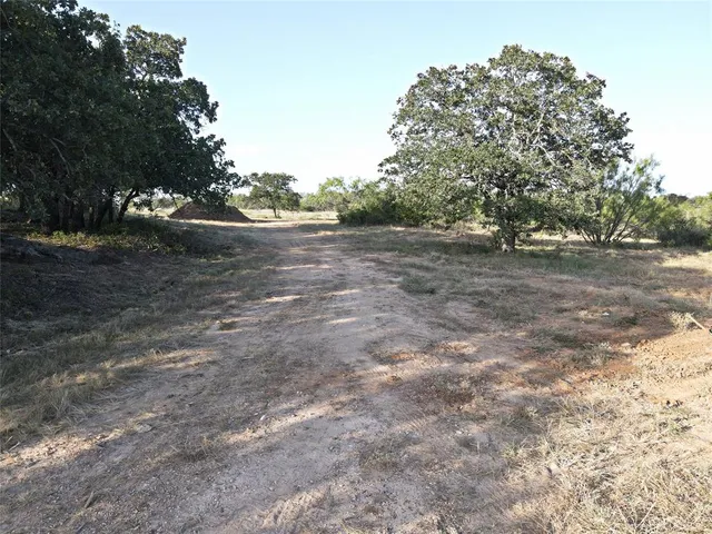 a view of dirt yard with a large tree