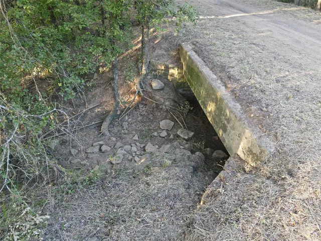 a view of a yard with trees