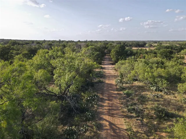 a view of a field of grass and trees