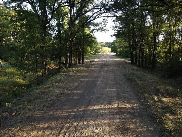 a view of a yard with trees