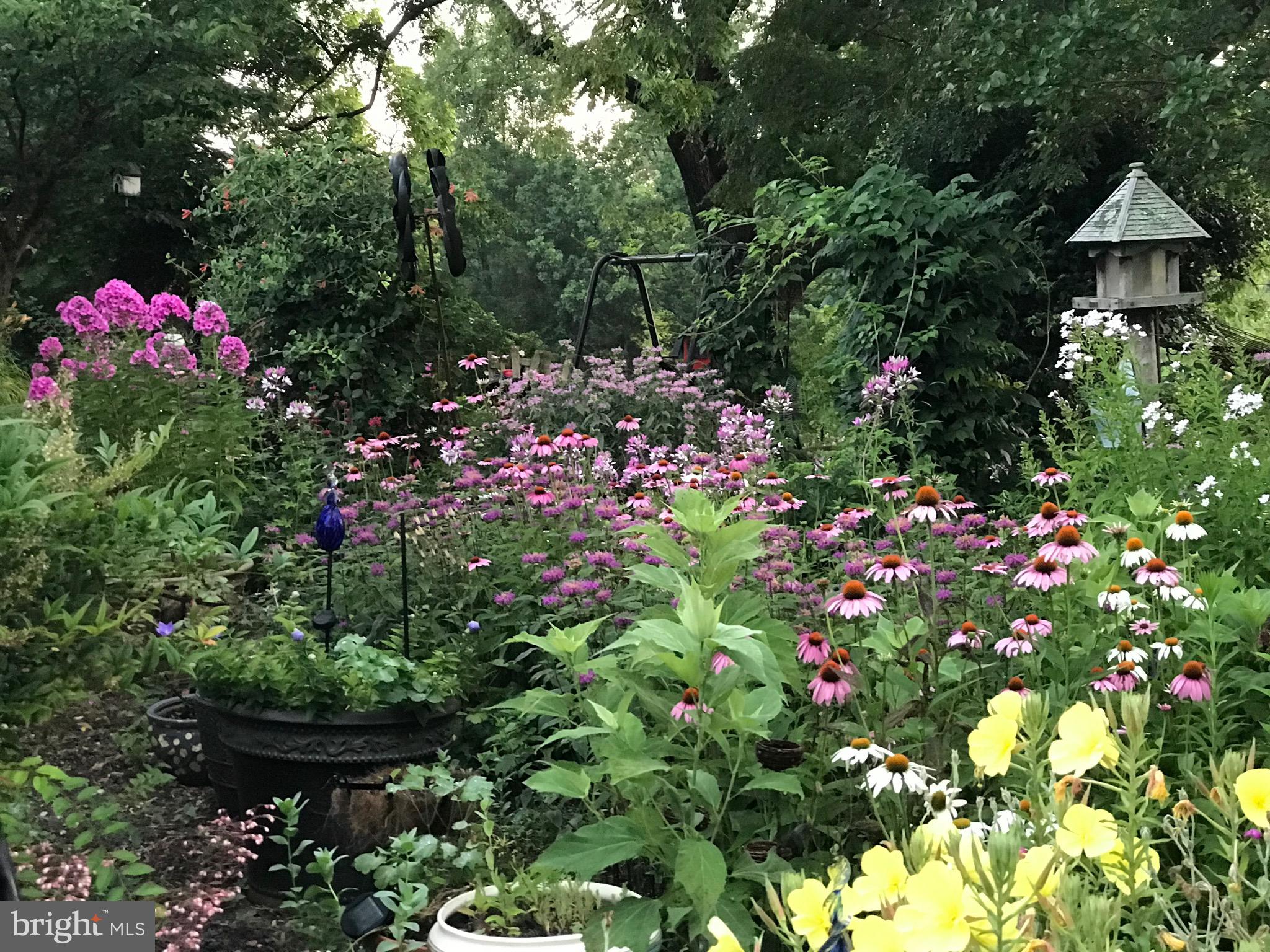 8489 Meetze Road Warrenton, VA 20187 - Photo 6 of 52 Gallery Image 6