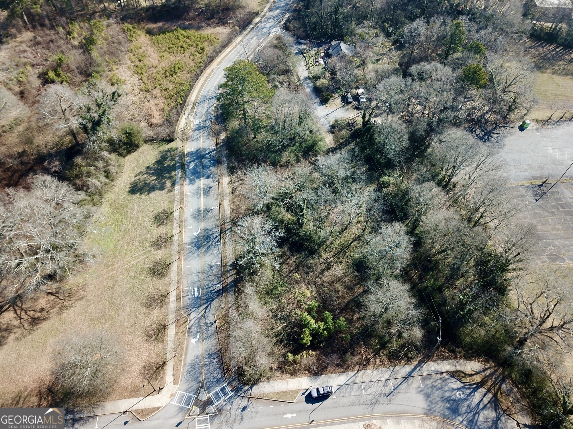 5335 Church Street Southwest Mableton, GA 30126 - Photo 13 of 29 a view of a yard with plants and large trees