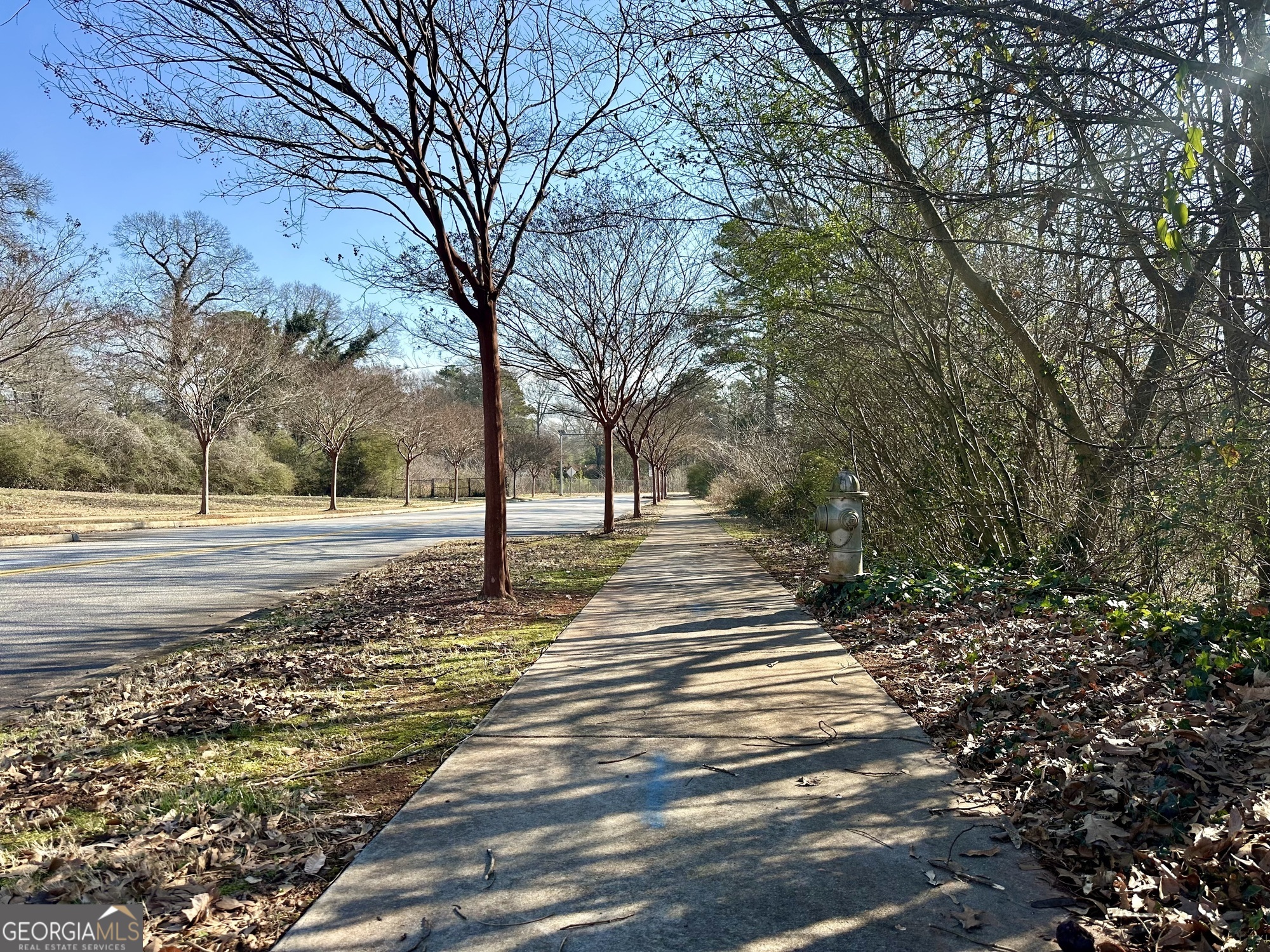 5335 Church Street Southwest Mableton, GA 30126 - Photo 15 of 29 a view of yard with tree