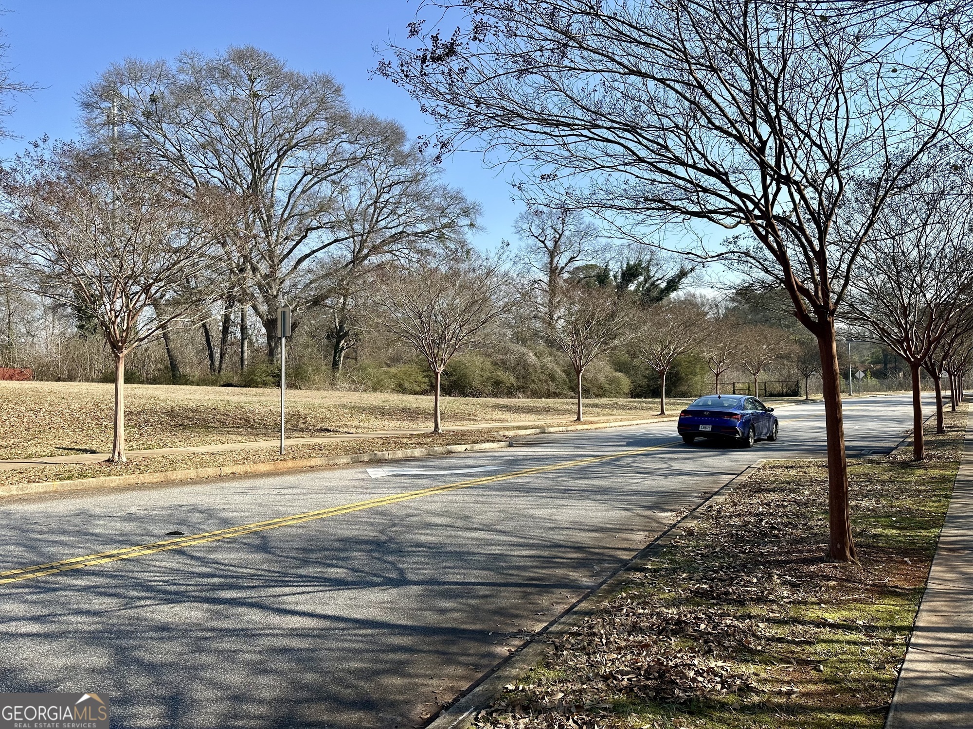 5335 Church Street Southwest Mableton, GA 30126 - Photo 16 of 29 a view of a yard with large trees