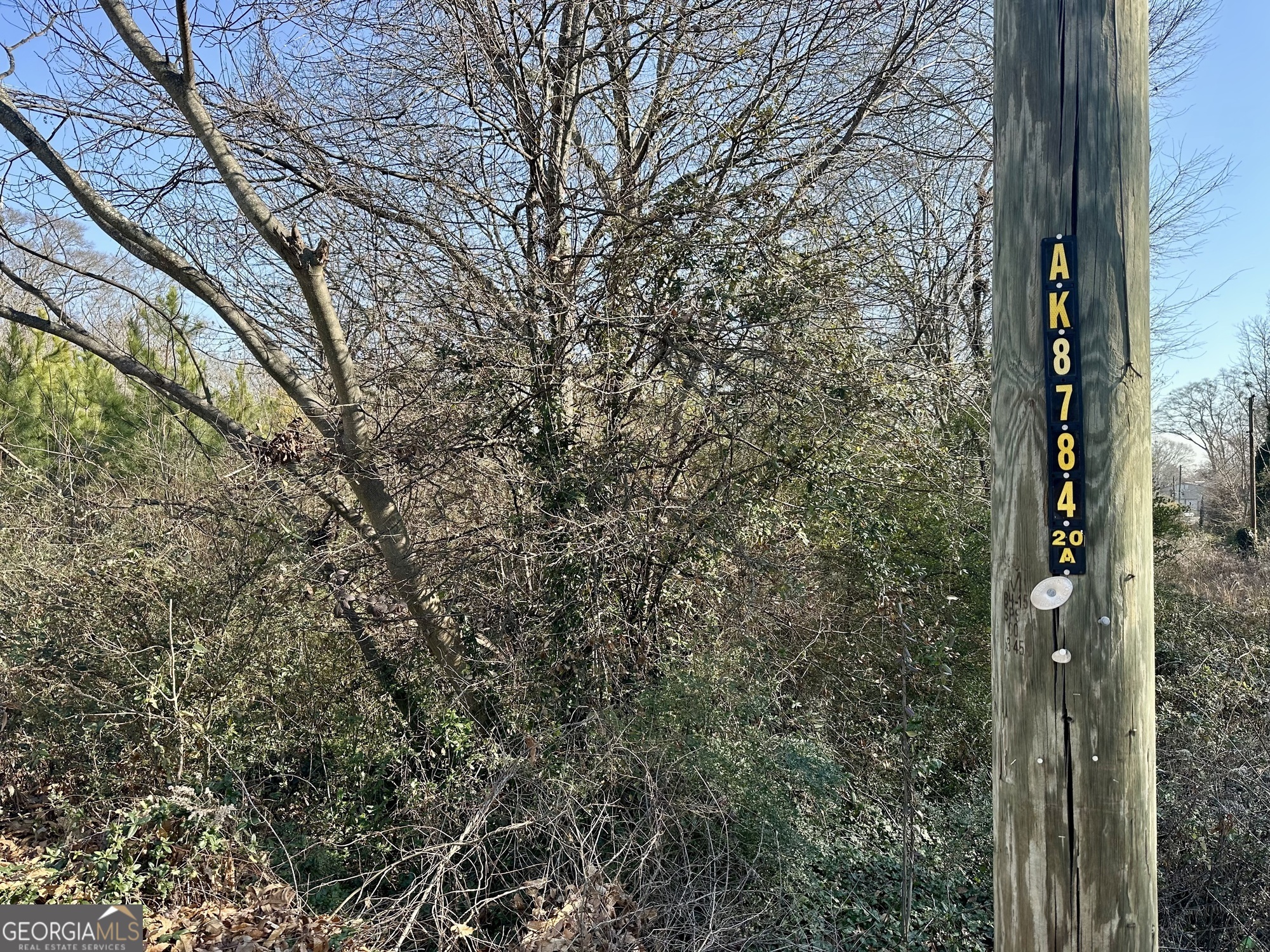 5335 Church Street Southwest Mableton, GA 30126 - Photo 26 of 29 a view of a tree