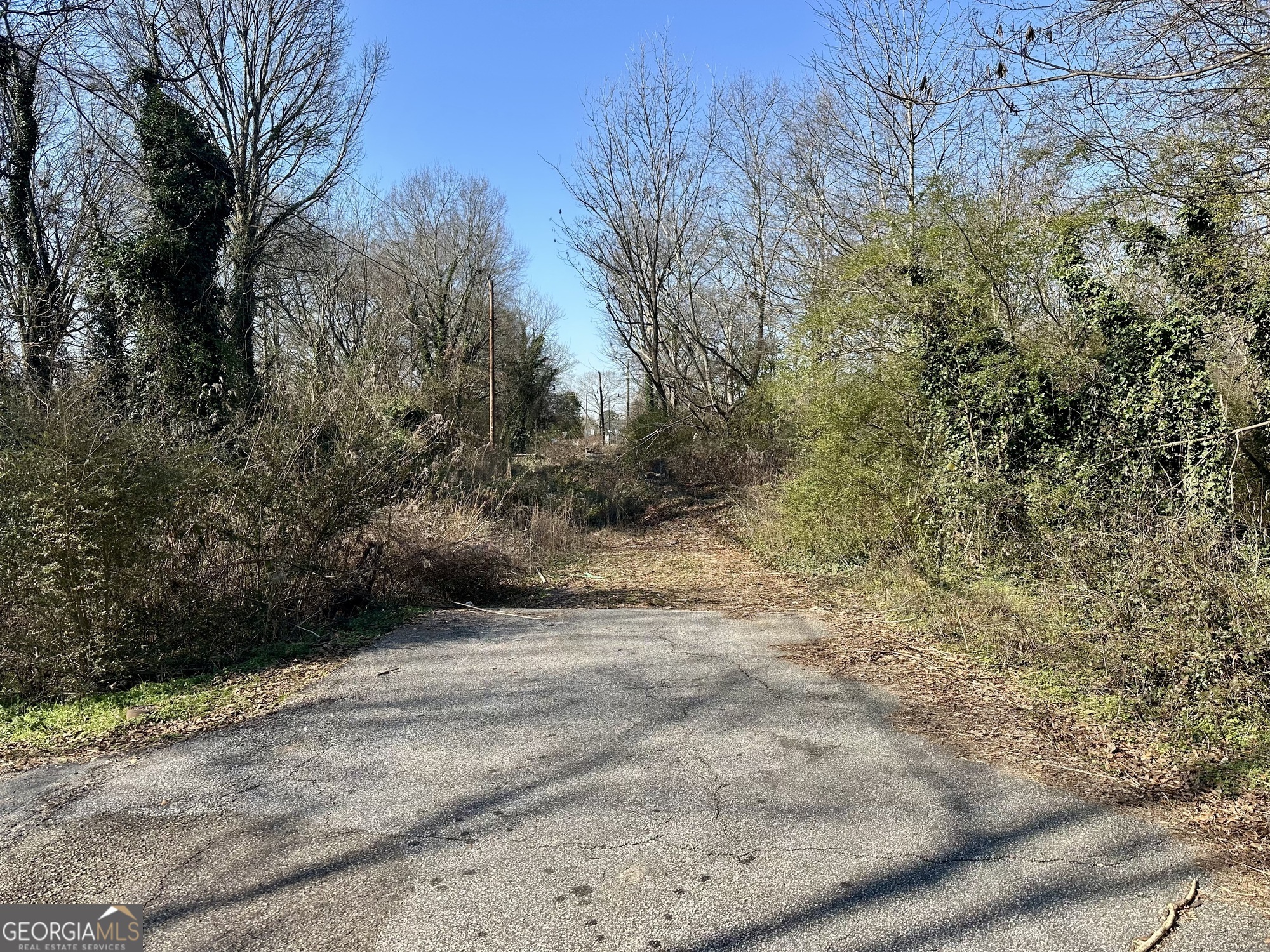 5335 Church Street Southwest Mableton, GA 30126 - Photo 27 of 29 a view of a yard with a tree