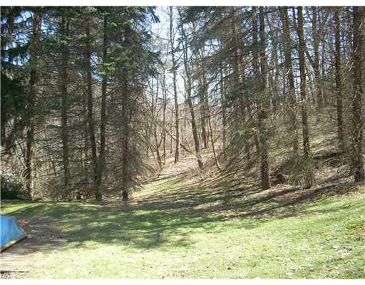 435 Cliff Road Baden, PA 15005 - Photo 16 of 17 Land. Beautiful treed lot