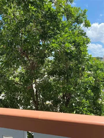 a balcony view with a outdoor space