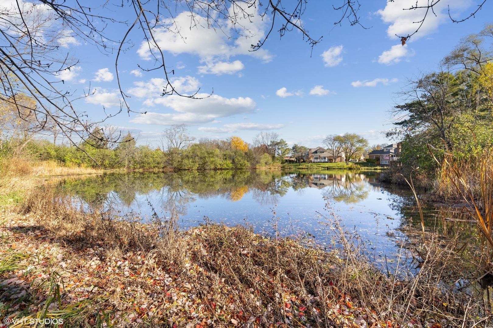 1908 Cherry Street Wheaton, IL 60187 - Photo 24 of 36 a view of a lake from a yard