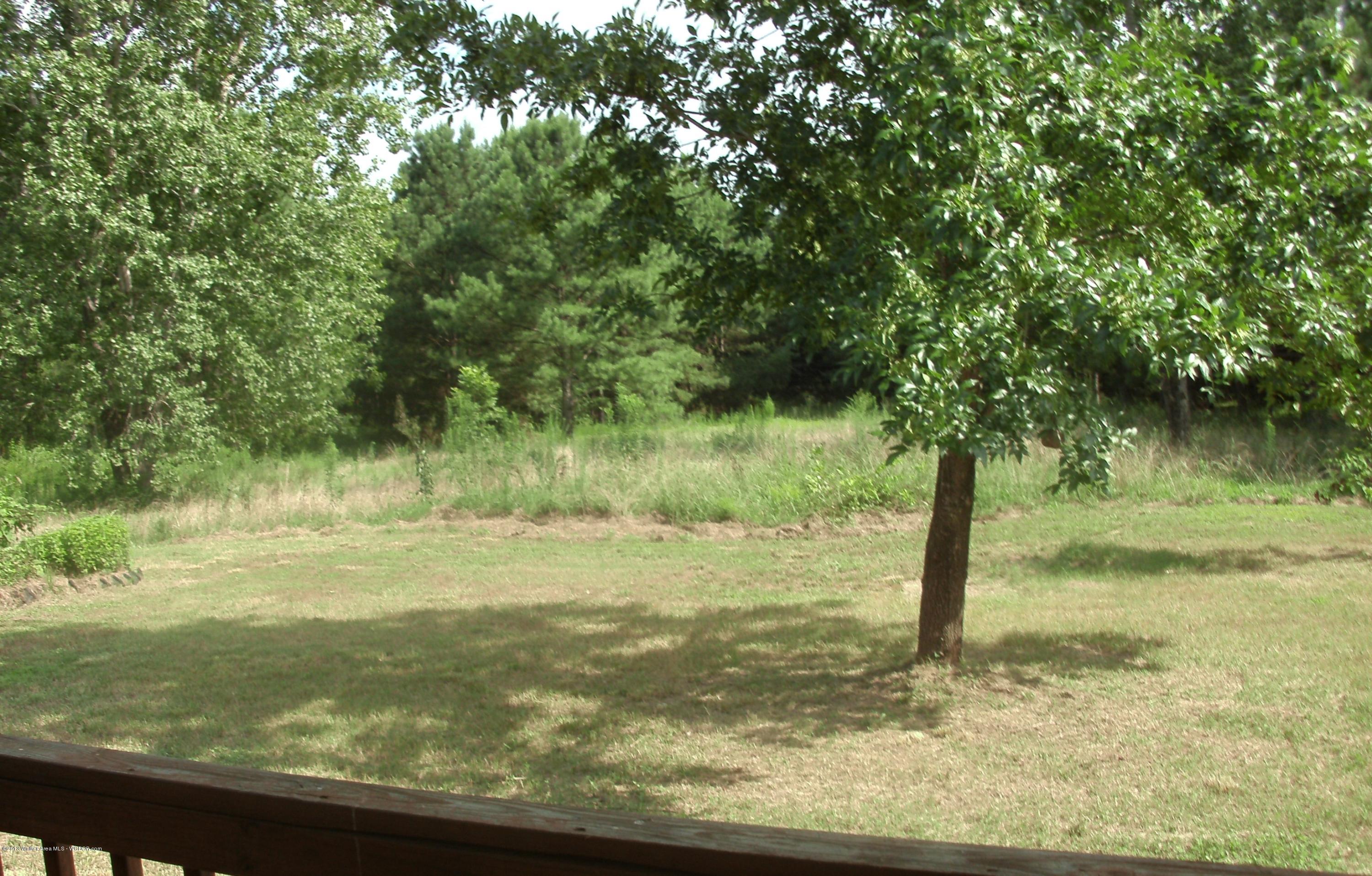 320 Rice Hill Road Empire, AL 35063 - Photo 24 of 28 Gallery Image 24