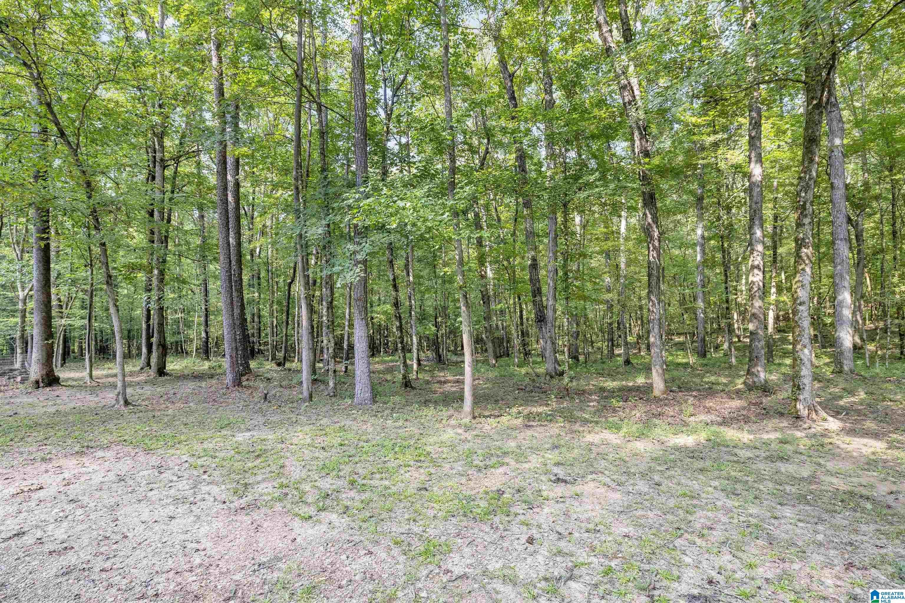 445 Berrington Lane Springville, AL 35146 - Photo 50 of 55 Gallery Image 50