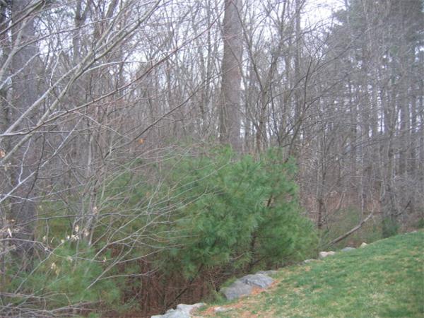 103 Wampanoag Road Raynham, MA 02767 - Photo 18 of 21 Gallery Image 18