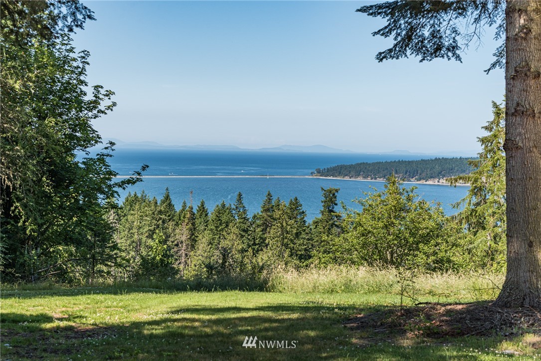 174 Tall Tree Way Sequim, WA 98382 - Photo 5 of 39