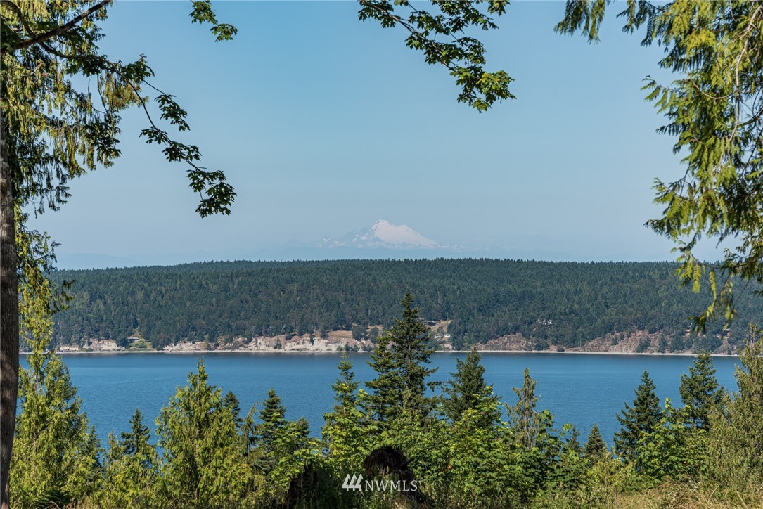 174 Tall Tree Way Sequim, WA 98382 - Photo 6 of 39
