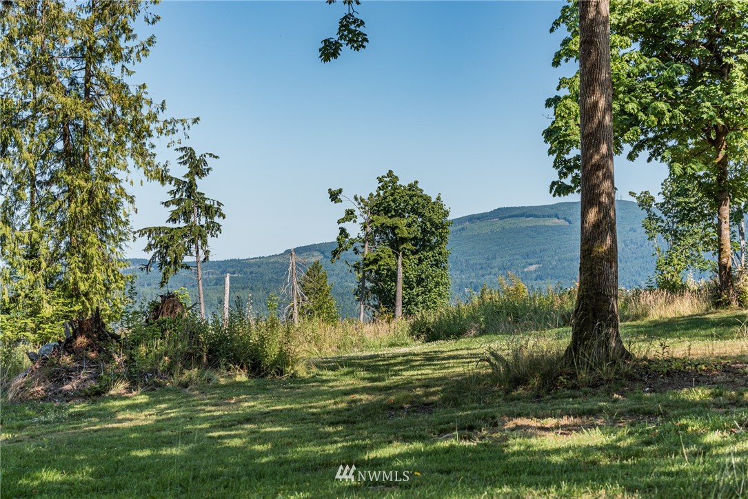 174 Tall Tree Way Sequim, WA 98382 - Photo 8 of 39
