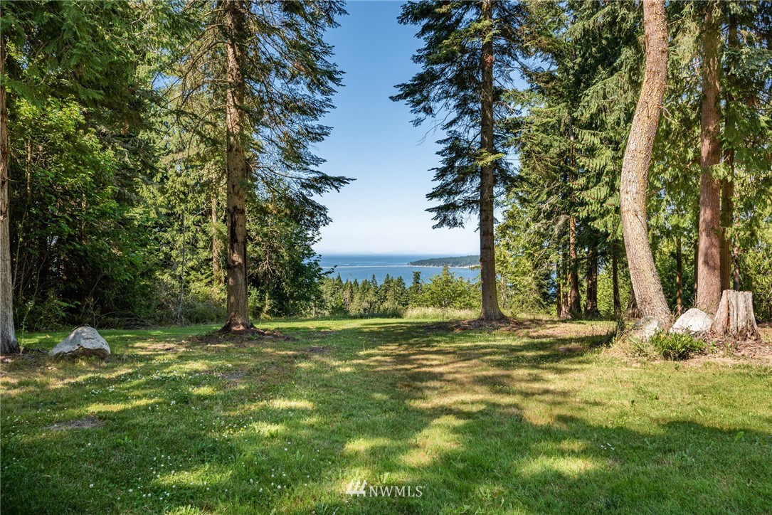 174 Tall Tree Way Sequim, WA 98382 - Photo 9 of 39