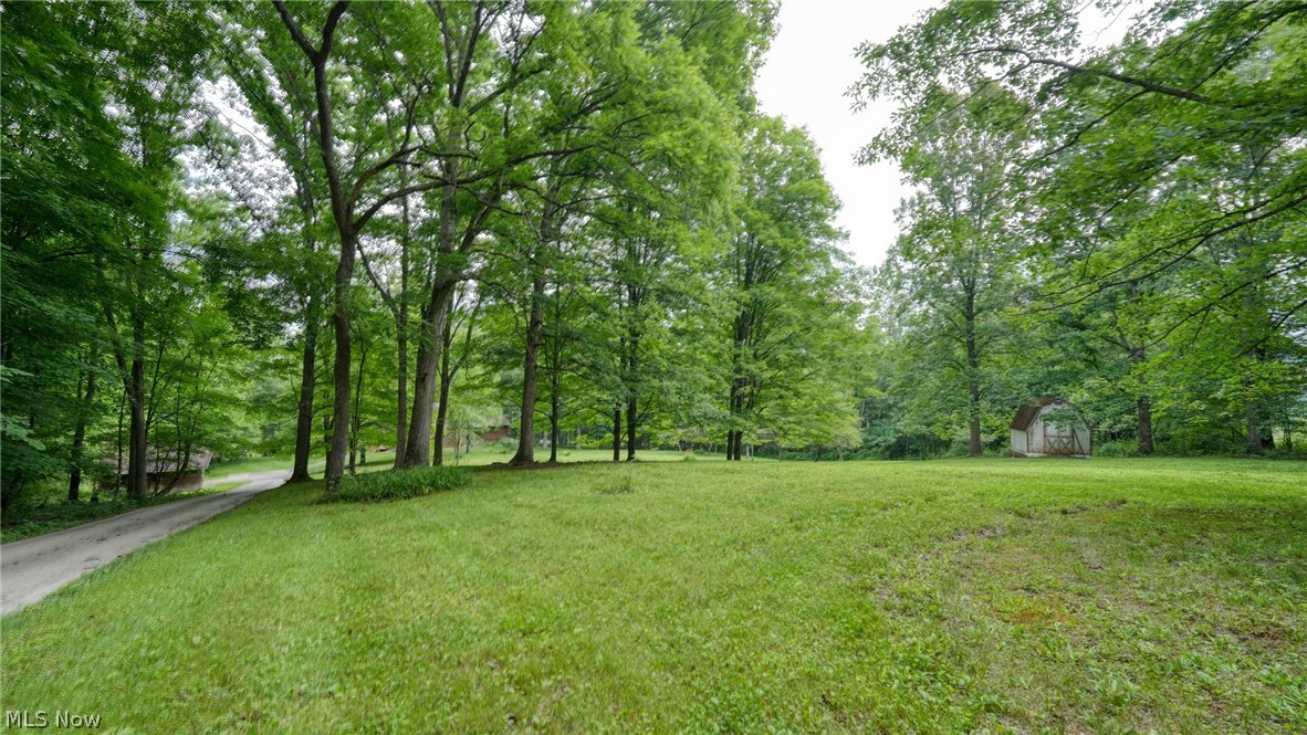 69711 Styx Hill Road Freeport, OH 43973 - Photo 5 of 38