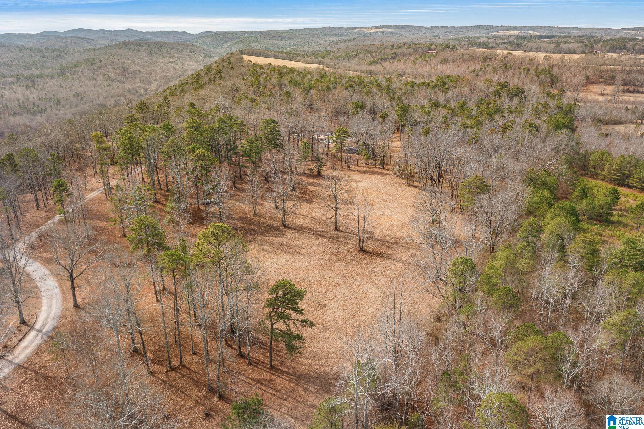 575 Mountain View Lane Springville, AL 35146 - Photo 72 of 84
