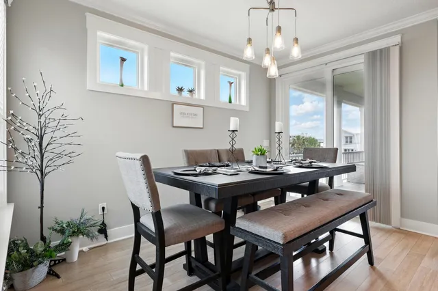 a view of a back yard with flower plants