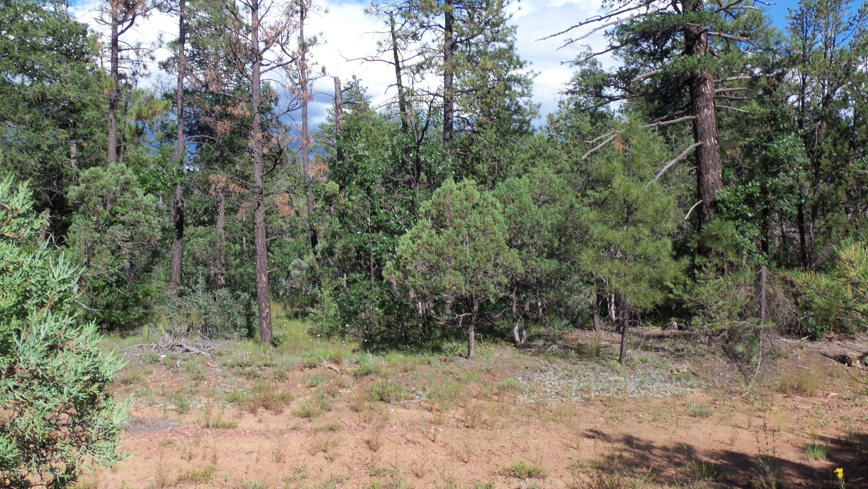 945 West Rim Road Lakeside, AZ 85929 - Photo 1 of 18 Gallery Image 1