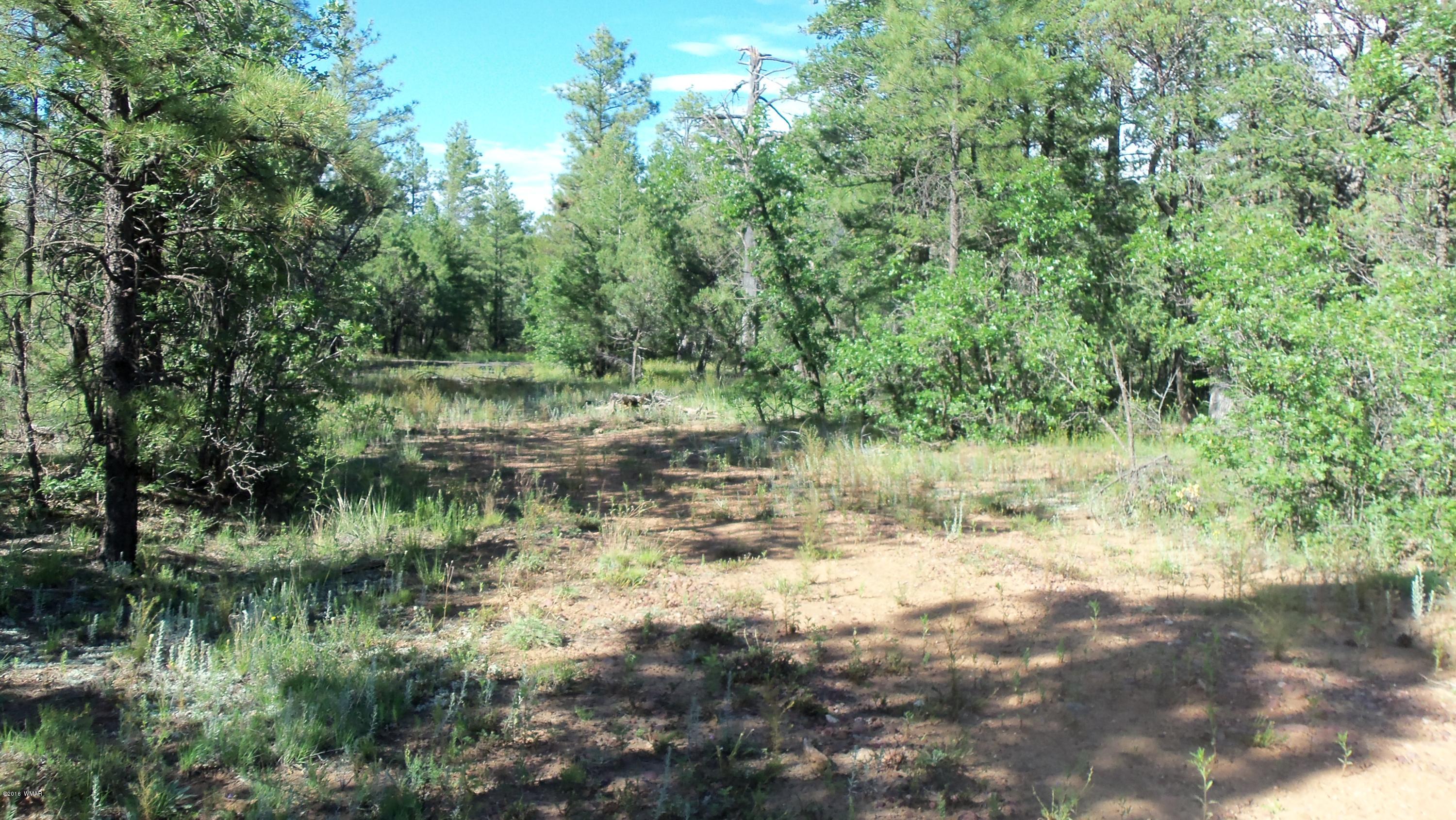 945 West Rim Road Lakeside, AZ 85929 - Photo 15 of 18 Gallery Image 15