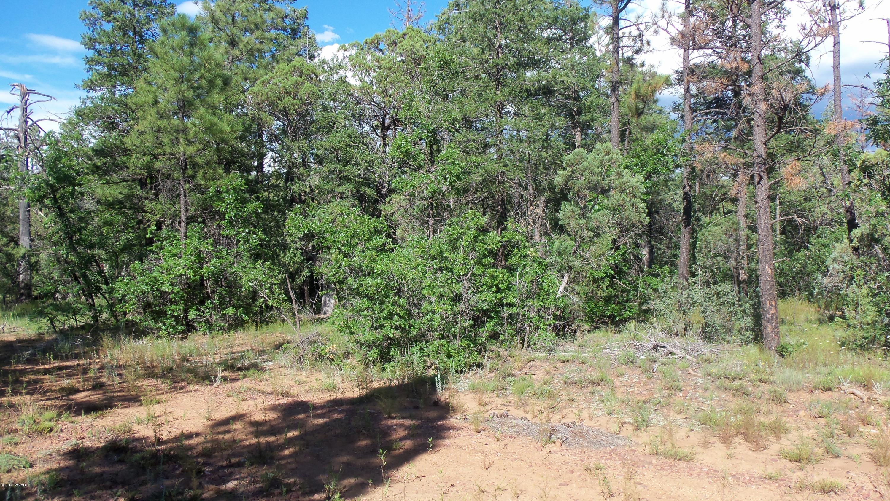 945 West Rim Road Lakeside, AZ 85929 - Photo 16 of 18 Gallery Image 16