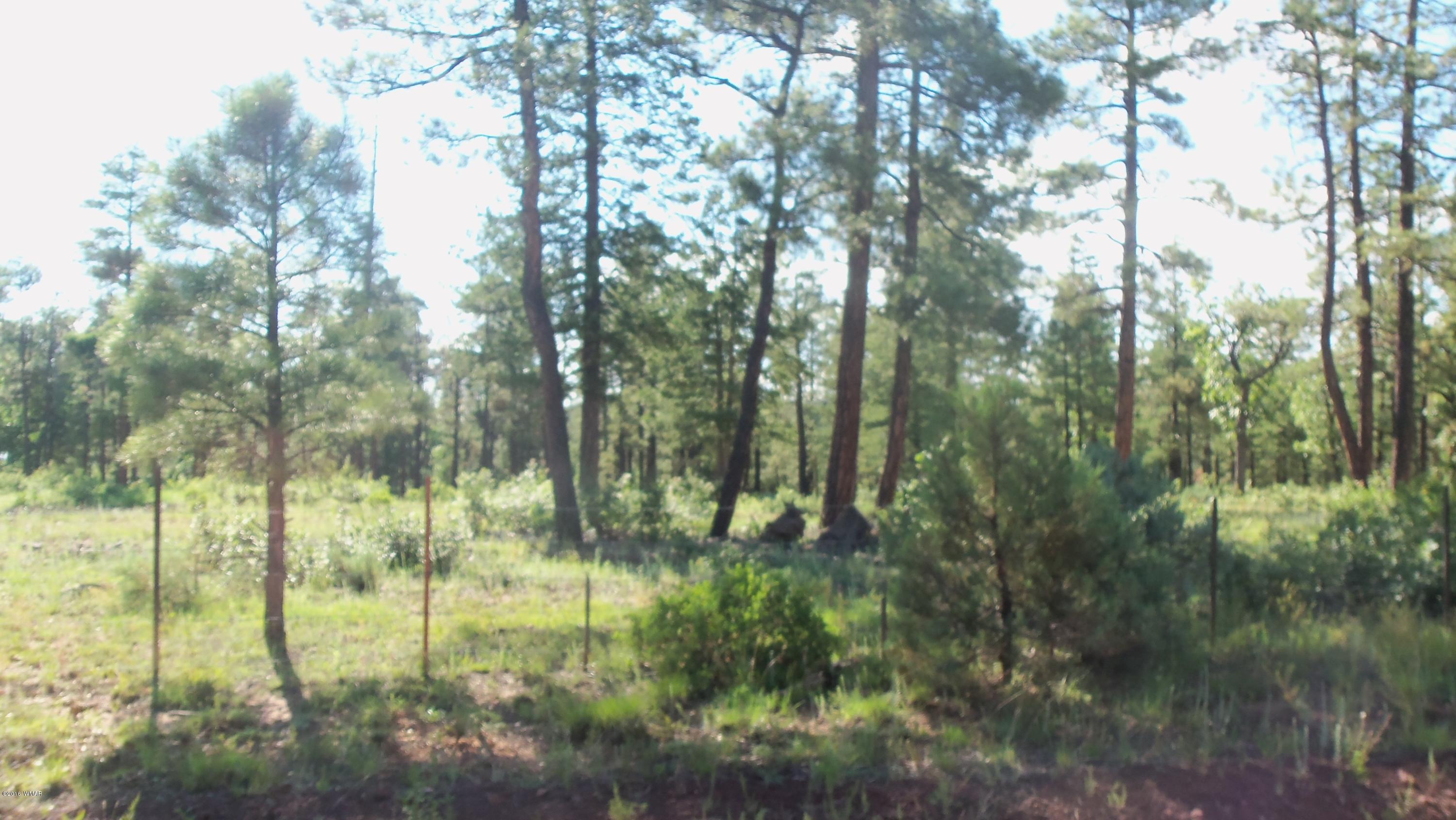945 West Rim Road Lakeside, AZ 85929 - Photo 18 of 18 Gallery Image 18