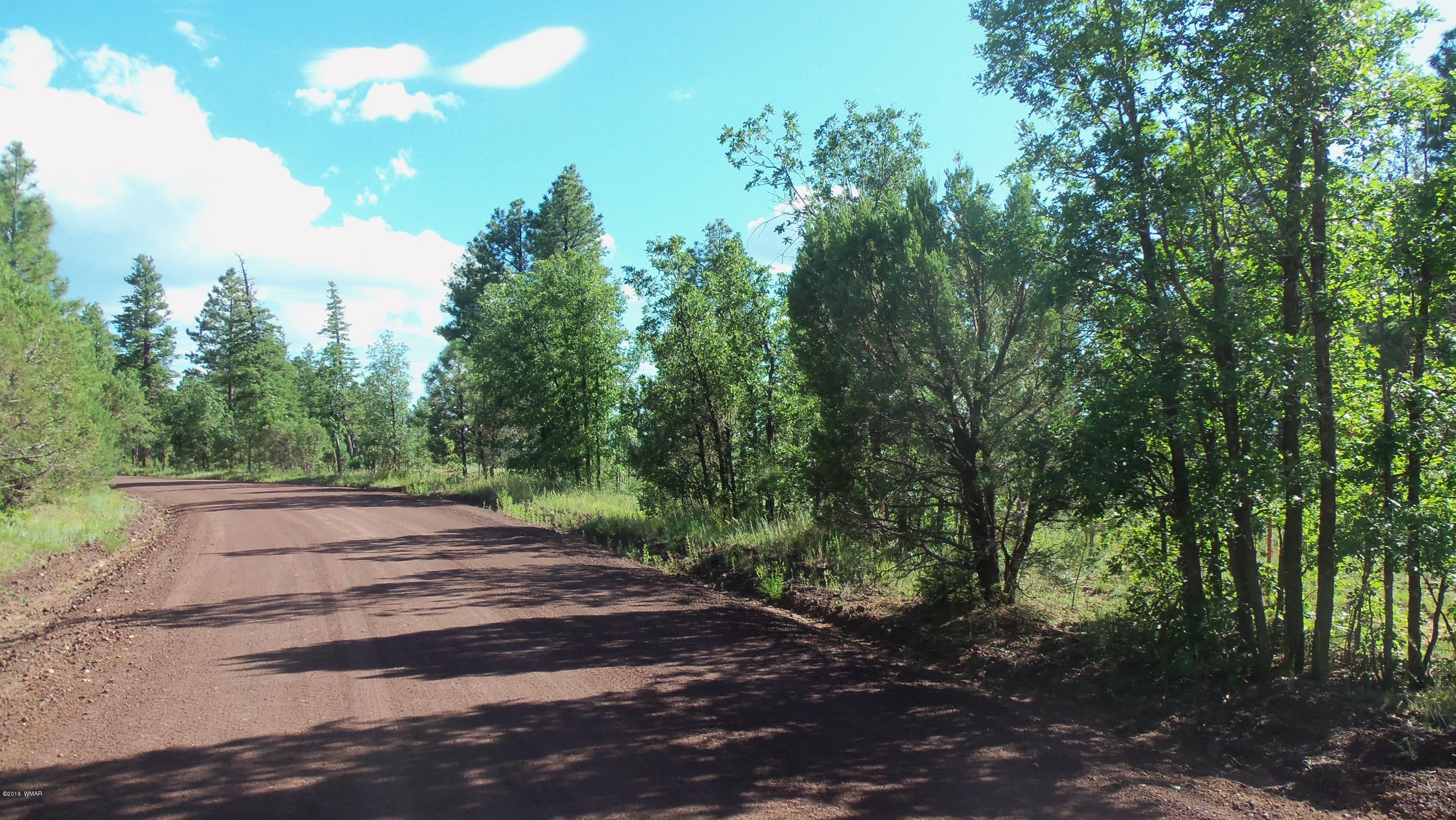 945 West Rim Road Lakeside, AZ 85929 - Photo 2 of 18 Gallery Image 2