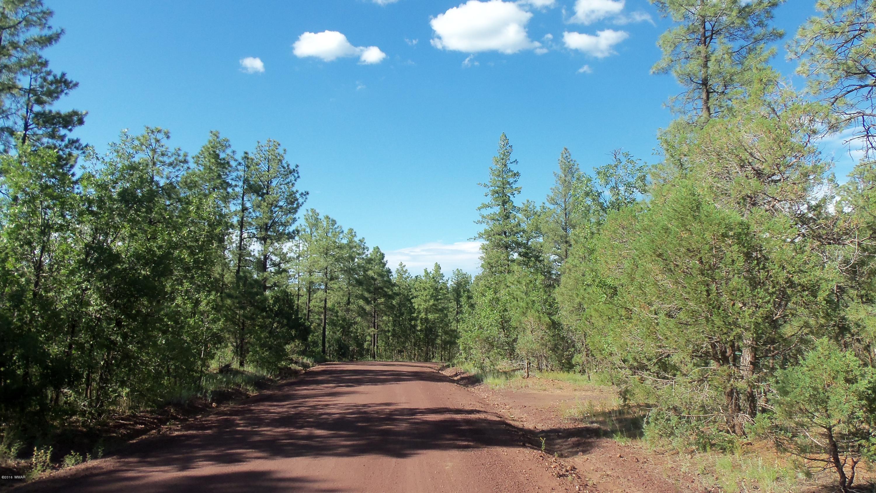945 West Rim Road Lakeside, AZ 85929 - Photo 3 of 18 Gallery Image 3