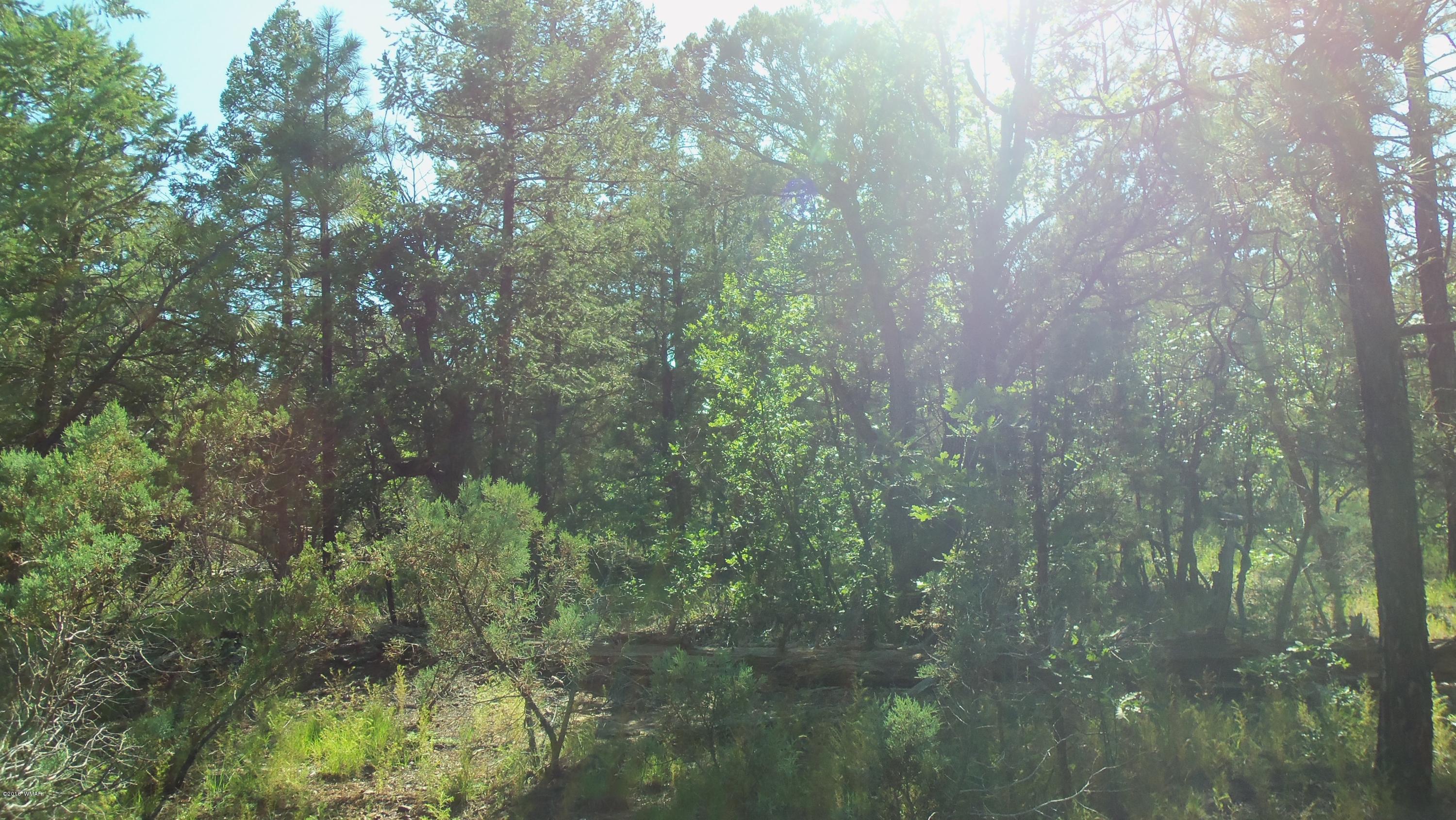 945 West Rim Road Lakeside, AZ 85929 - Photo 4 of 18 Gallery Image 4