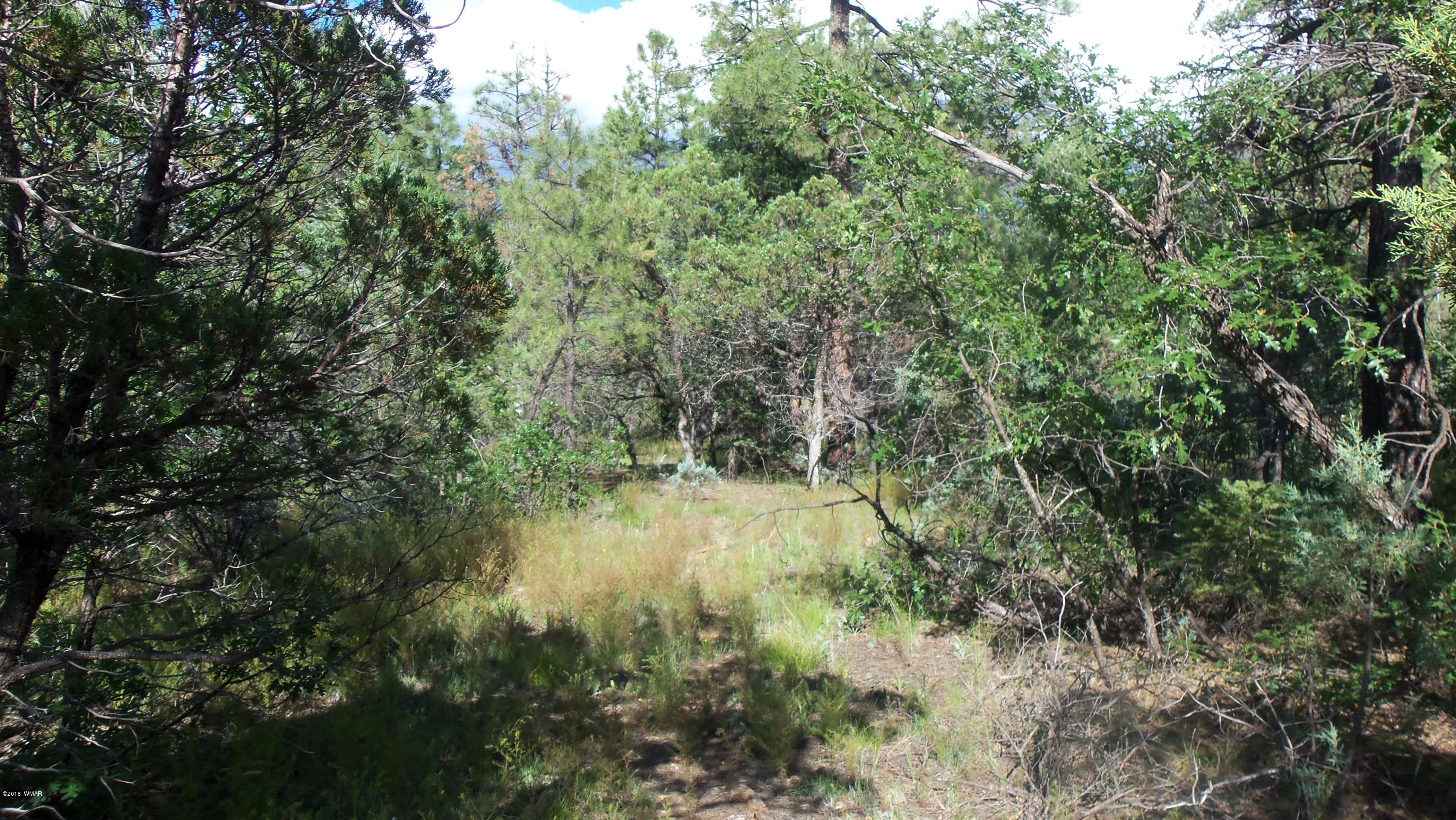 945 West Rim Road Lakeside, AZ 85929 - Photo 7 of 18 Gallery Image 7