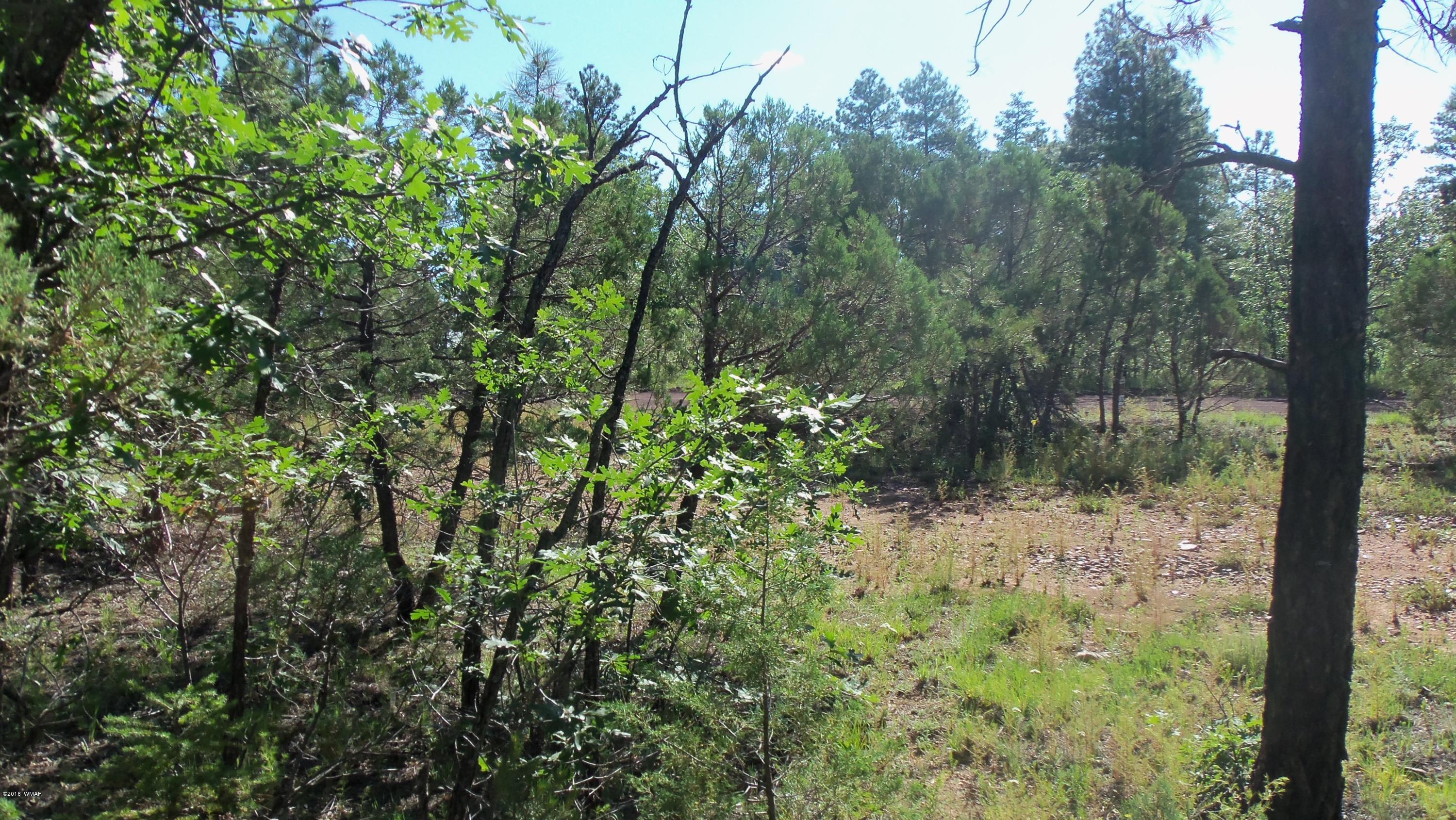945 West Rim Road Lakeside, AZ 85929 - Photo 10 of 18 Gallery Image 10
